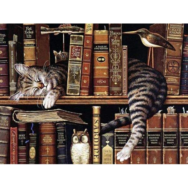 Un chat endormi dans une bibliothèque