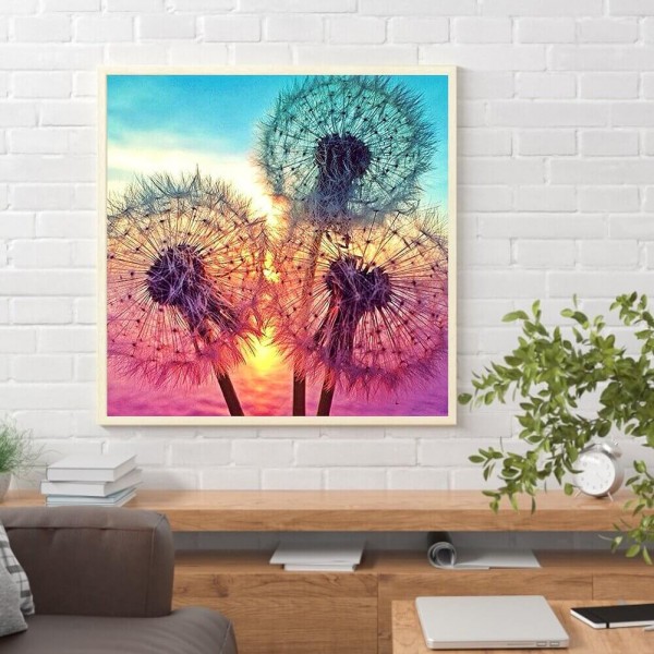 Pissenlits en pleine floraison 50x50cm