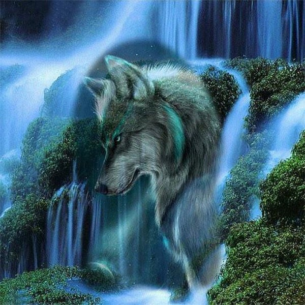 Loups et cascade