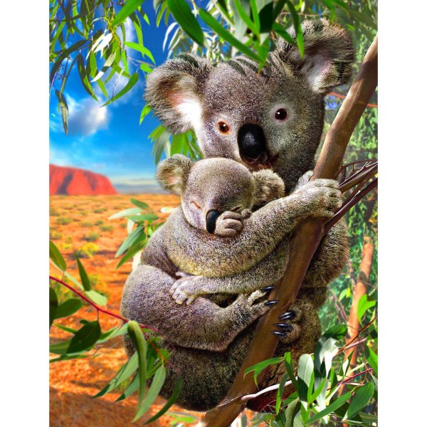 Koala avec son petit